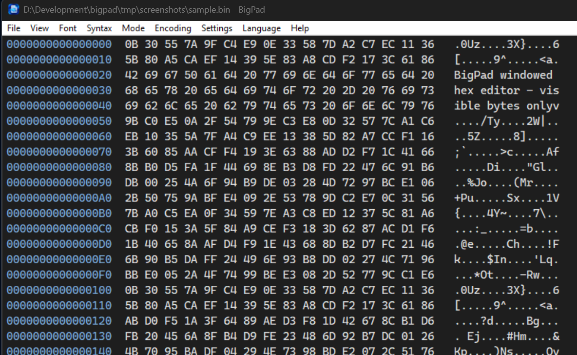 BigPad editable hexadecimal view